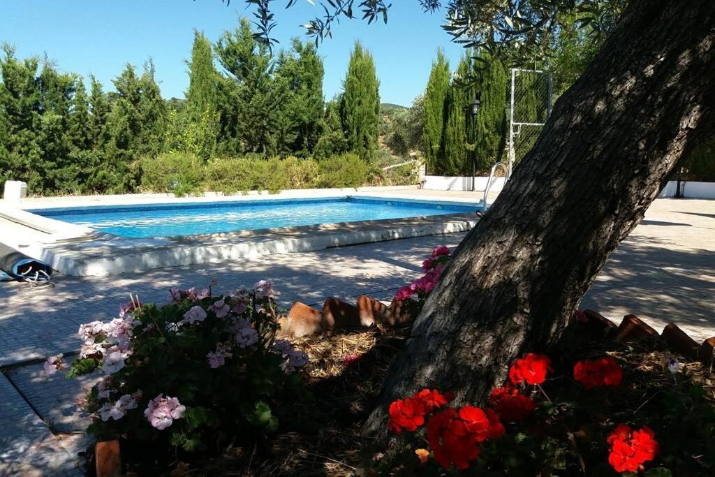 Cortijo "Era Grande 2" Villa Cordoba Dış mekan fotoğraf