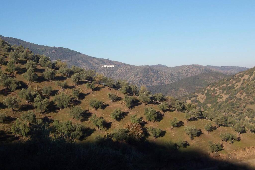 Cortijo "Era Grande 2" Villa Cordoba Dış mekan fotoğraf