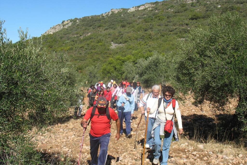 Cortijo "Era Grande 2" Villa Cordoba Dış mekan fotoğraf