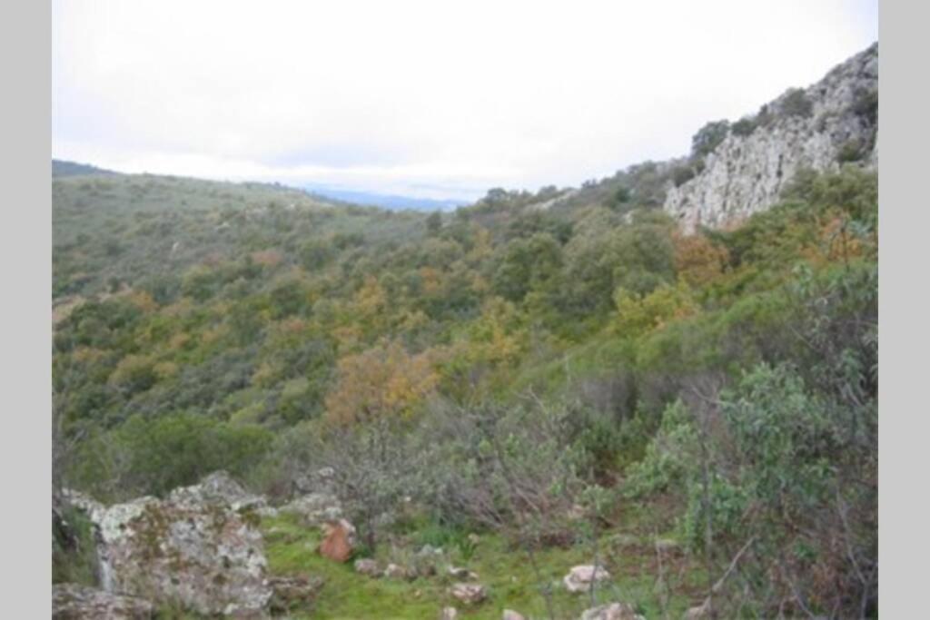 Cortijo "Era Grande 2" Villa Cordoba Dış mekan fotoğraf