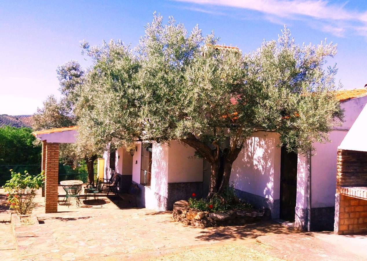 Cortijo "Era Grande 2" Villa Cordoba Dış mekan fotoğraf