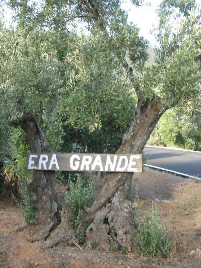 Cortijo "Era Grande 2" Villa Cordoba Dış mekan fotoğraf