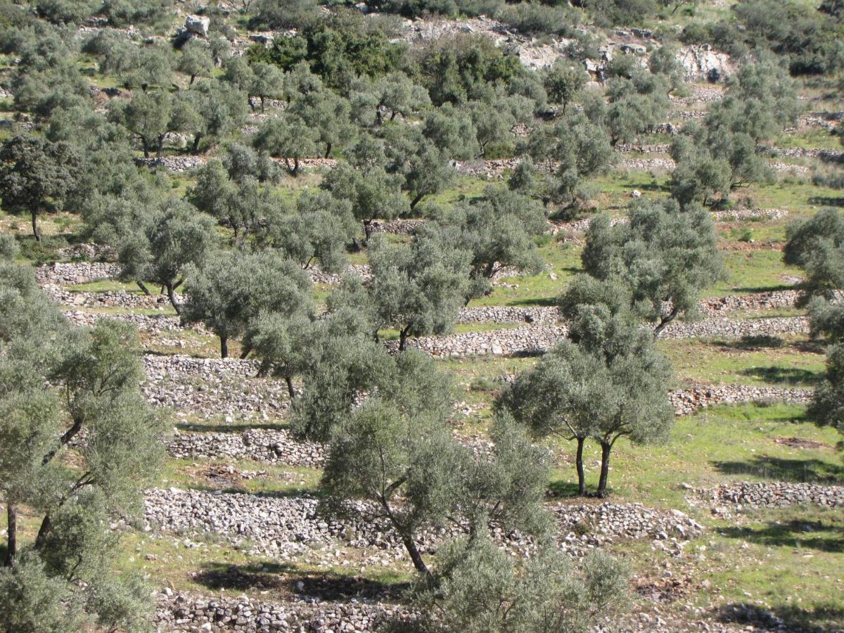 Cortijo "Era Grande 2" Villa Cordoba Dış mekan fotoğraf