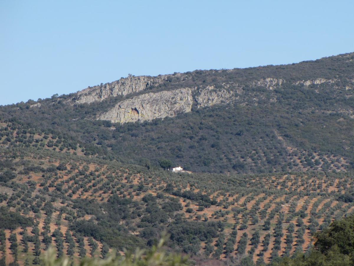 Cortijo "Era Grande 2" Villa Cordoba Dış mekan fotoğraf