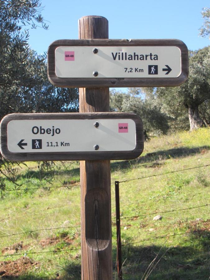 Cortijo "Era Grande 2" Villa Cordoba Dış mekan fotoğraf
