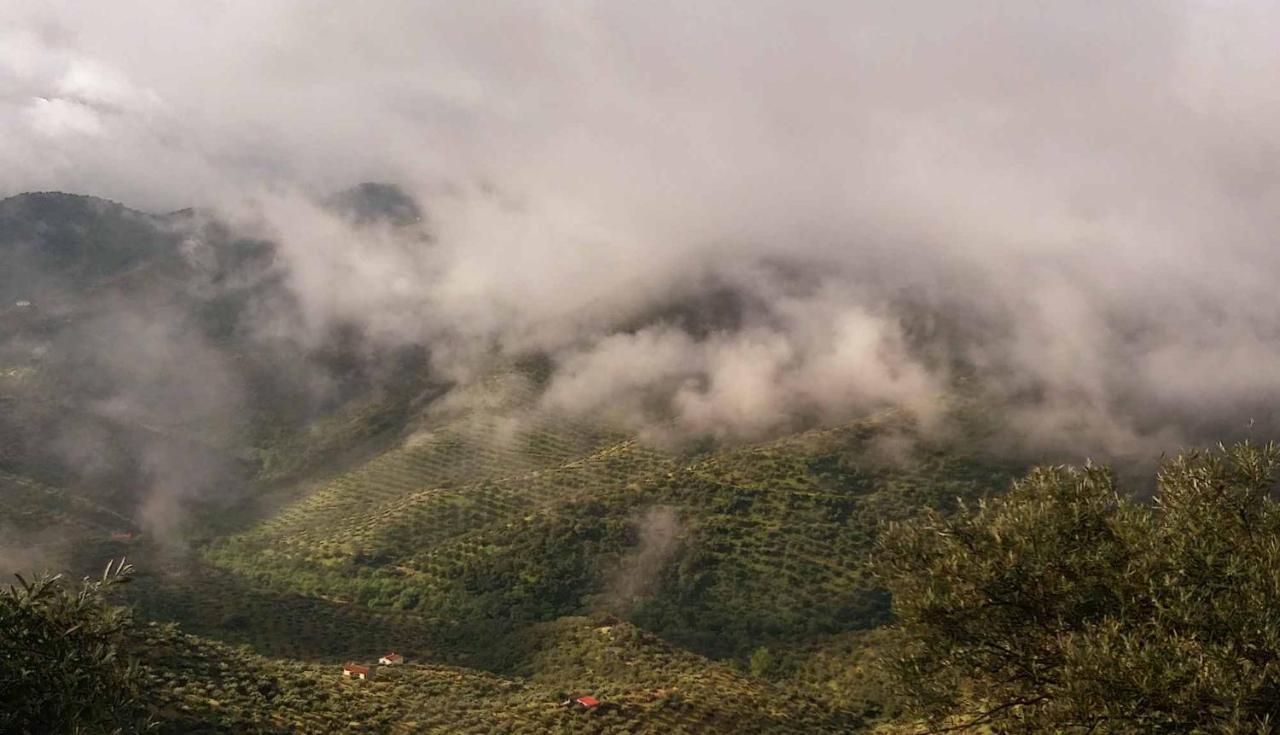 Cortijo "Era Grande 2" Villa Cordoba Dış mekan fotoğraf