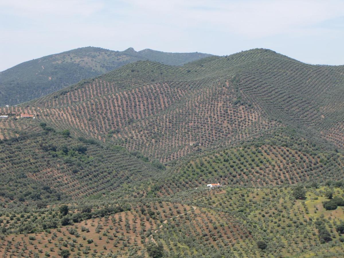 Cortijo "Era Grande 2" Villa Cordoba Dış mekan fotoğraf