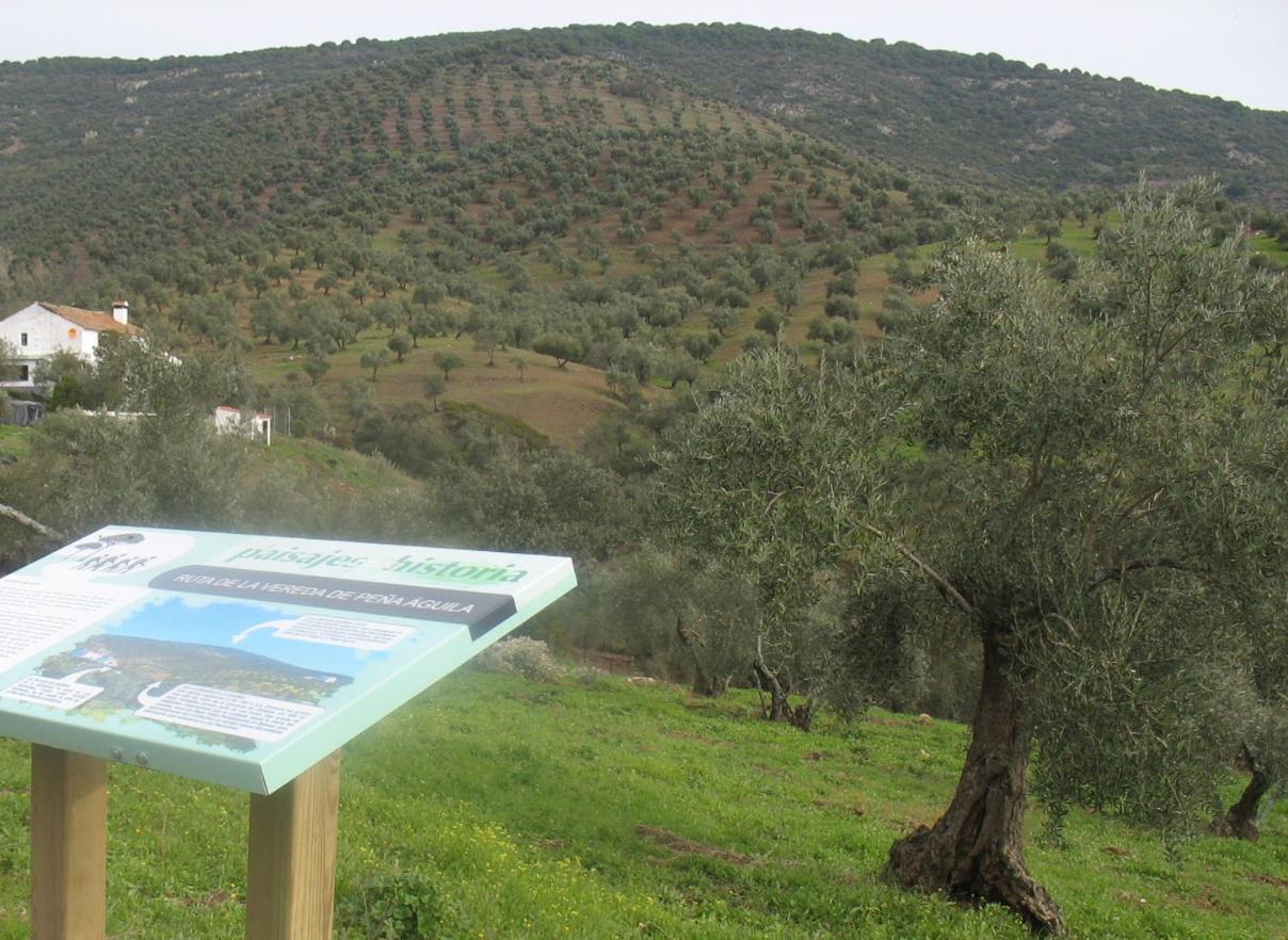 Cortijo "Era Grande 2" Villa Cordoba Dış mekan fotoğraf