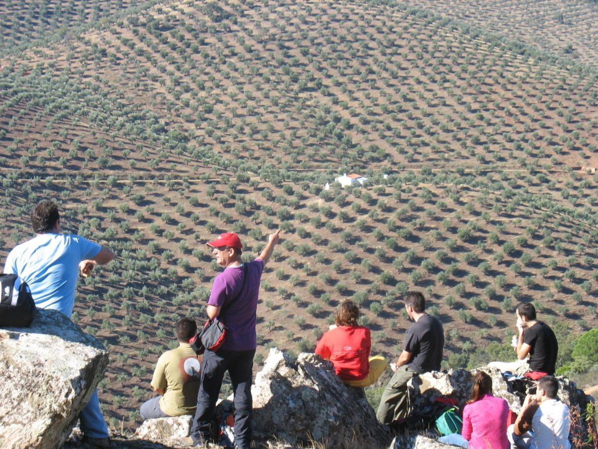 Cortijo "Era Grande 2" Villa Cordoba Dış mekan fotoğraf