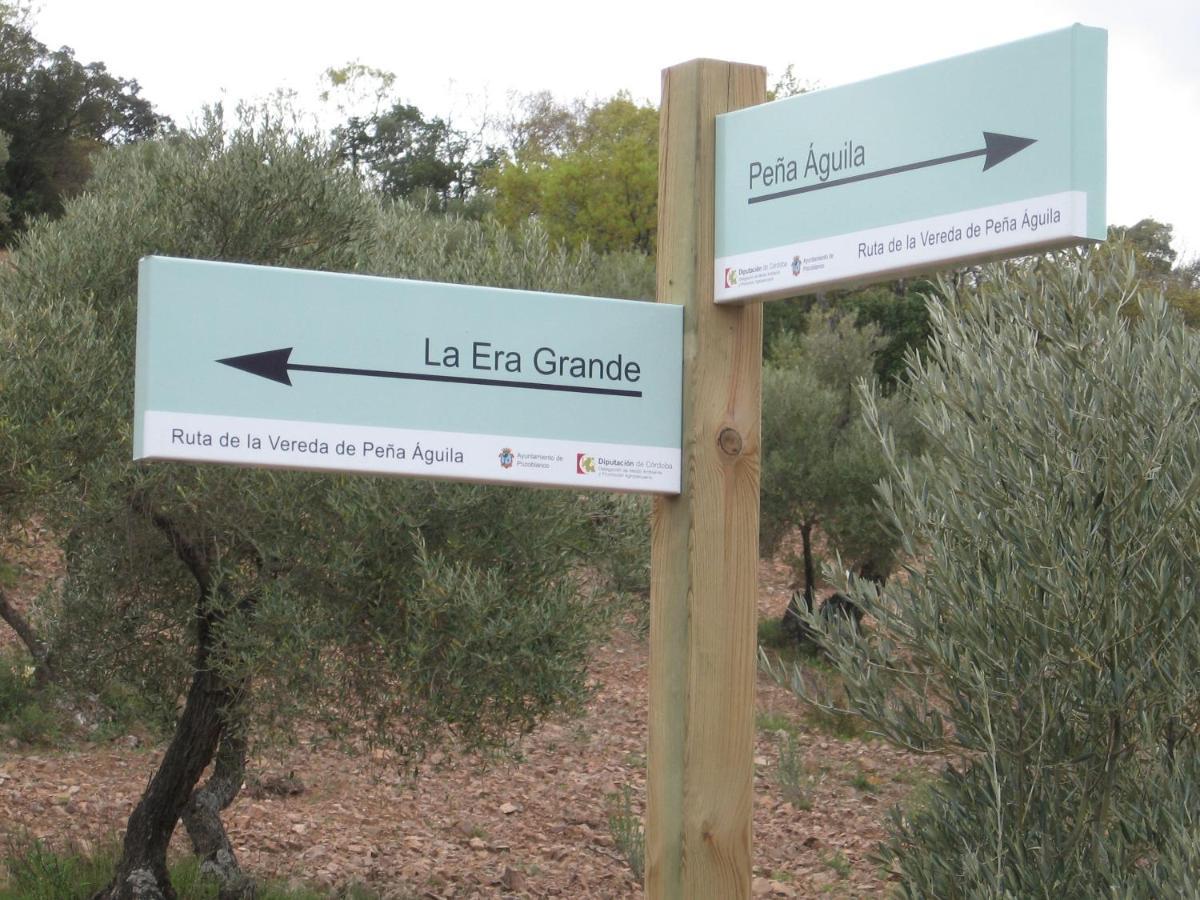 Cortijo "Era Grande 2" Villa Cordoba Dış mekan fotoğraf